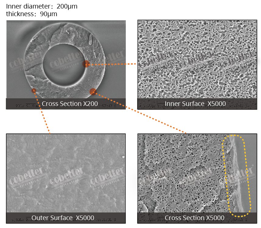 PMP hollow fiber membrane.png